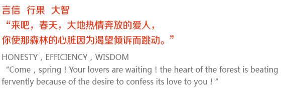 The Theory of Business Ecology 為什么生存